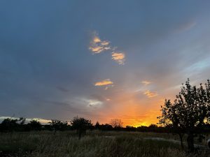 IMG_4373