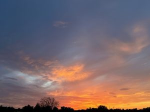 IMG_4376